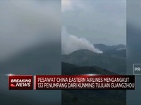 Boeing 737 China Eastern Airlines Jatuh, Angkut 133 Penumpang