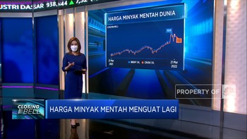 Minyak Dan CPO Masih Melonjak, Bagaimana Dengan Batu Bara?