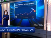 Minyak Dan CPO Masih Melonjak, Bagaimana Dengan Batu Bara?