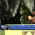 Ekspor CPO Bisa Disetop Jika Krisis Migor Tak Kelar