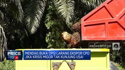 Ekspor CPO Bisa Disetop Jika Krisis Migor Tak Kelar
