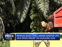 Ekspor CPO Bisa Disetop Jika Krisis Migor Tak Kelar