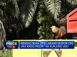 Ekspor CPO Bisa Disetop Jika Krisis Migor Tak Kelar