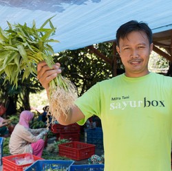 Sederet Startup Sayur-Buah RI yang PHK, Bangkrut, atau Tutup