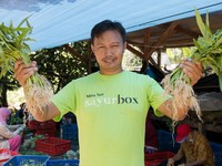Sederet Startup Sayur-Buah RI yang PHK, Bangkrut, atau Tutup