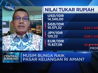 Rupiah Masih Kuat di Musim Bunga Naik,  Ini Penopangnya