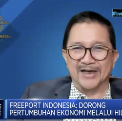 Ini Alasan Freeport Pilih Listrik PLN untuk Smelter di Gresik