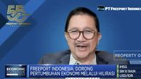 Bos Freeport Buka-bukaan Tantangan Hilirisasi Tambang RI