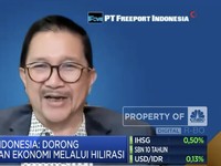 Freeport Bakal IPO? Simak Nih Bocoran Dari Bosnya..