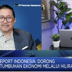 Smelter Dibangun, Bos Freeport Harapkan Industri Hilir Tumbuh