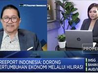 Smelter Dibangun, Bos Freeport Harapkan Industri Hilir Tumbuh