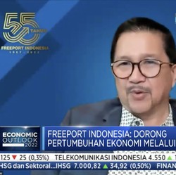 Kontribusi Freeport untuk Negeri Makin Optimal, Ini Buktinya