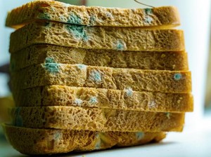 Roti Jamuran Tak Layak Konsumsi Meski Sudah Dipotong Jamurnya