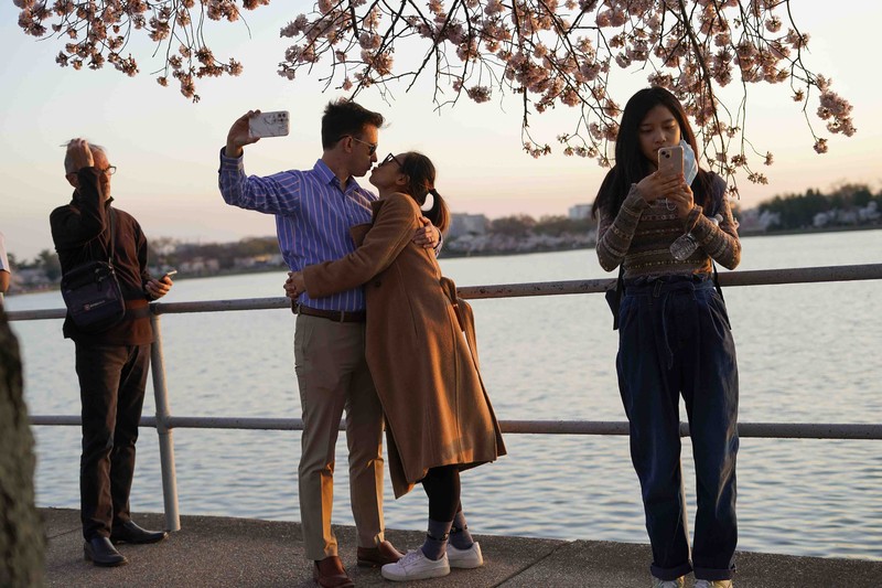 People under the Cherry Blossom trees, Monday, March 21, 2022, as the trees reach their peek bloom in Washington. (AP Photo/Pablo Martinez Monsivais)