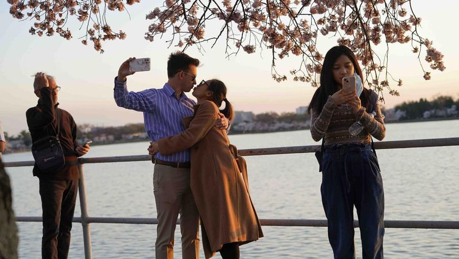 People under the Cherry Blossom trees, Monday, March 21, 2022, as the trees reach their peek bloom in Washington. (AP Photo/Pablo Martinez Monsivais)