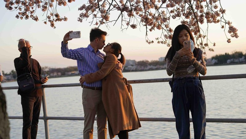 People under the Cherry Blossom trees, Monday, March 21, 2022, as the trees reach their peek bloom in Washington. (AP Photo/Pablo Martinez Monsivais)