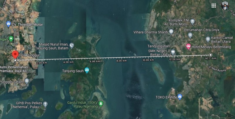 Ilustrasi Desain Jembatan Batam-Bintan (Dok.PUPR) Ilustrasi Desain Jembatan Batam-Bintan (Dok.PUPR)