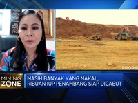 40 IUP Dicabut, Penambang Nikel Pertanyakan Hal Ini
