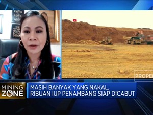 40 IUP Dicabut, Penambang Nikel Pertanyakan Hal Ini