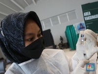 Segini Harga Vaksin Sinovac-Pfizer di RI, Mana yang Termahal?