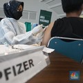 AS Setop Borong Vaksin Covid-19, Pfizer Naikkan Harga