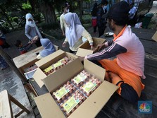 Holding BUMN Pangan Minta PMN Rp 4,6 Triliun, Untuk Apa?