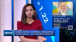 Harga Kedelai Ngamuk Lagi, Pasokan Dari Importir Aman?