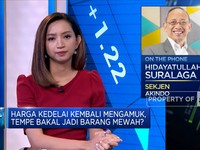 Harga Kedelai Ngamuk Lagi, Pasokan Dari Importir Aman?