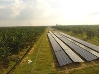 Transisi Energi Pertamina Jadi Aksi Nyata Dukung G20