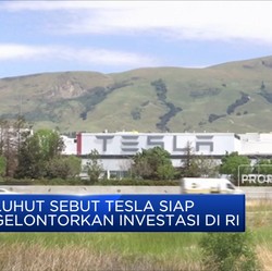 Luhut Sebut Tesla Siap Gelontorkan Investasi di RI