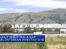 Luhut Sebut Tesla Siap Gelontorkan Investasi di RI