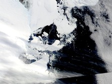 Terekam Kamera, Ilmuwan Temukan Ada Dunia Lain di Antartika