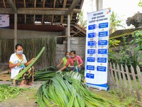 8 Penyakit yang Bisa Sembuh Pakai Daun Pandan