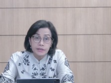 Cerita Sri Mulyani Dicurhati Menkeu Turki Hingga Mesir
