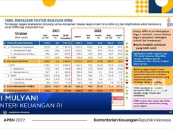 "Ketiban Durian", APBN RI Surplus Lagi