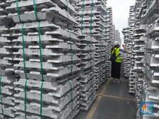 Pabrik Aluminium RI Incar Produksi 300 Ribu Ton di 2024