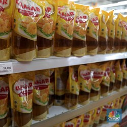 Harga Migor Bukannya Turun Malah Pecah Rekor, Tembus Rp54.000