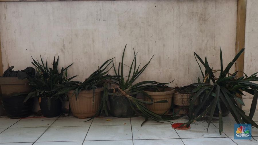 Kondisi Rusun Maunda yang terdampak polusi debu batu bara,  Selasa (29/3/2022). Forum Masyarakat Rusunawa Marunda dan sekitarnya menyatakan bahwa saat ini di lingkungan tempat tinggal mereka sedang mengalami pencemaran lingkungan debu batu bara dalam bentuk flying ash bottom ash (FABA) atau debu yang terbawa angin yang berasal dari bongkar muat batu bara di Pelabuhan Marunda, Jakarta Utara.   (CNBC Indonesia/ Tri Susilo)