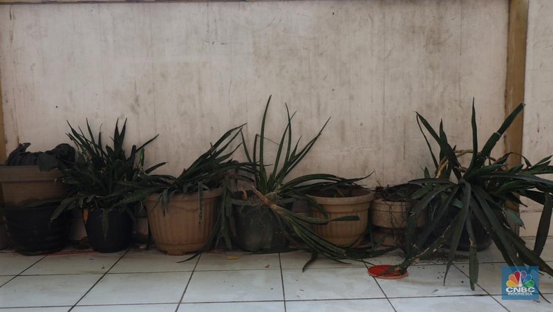 Kondisi Rusun Maunda yang terdampak polusi debu batu bara,  Selasa (29/3/2022). Forum Masyarakat Rusunawa Marunda dan sekitarnya menyatakan bahwa saat ini di lingkungan tempat tinggal mereka sedang mengalami pencemaran lingkungan debu batu bara dalam bentuk flying ash bottom ash (FABA) atau debu yang terbawa angin yang berasal dari bongkar muat batu bara di Pelabuhan Marunda, Jakarta Utara.   (CNBC Indonesia/ Tri Susilo)