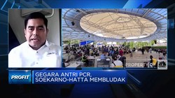 Antri PCR Bikin Bandara Membludak, Ini Kata Pengusaha Travel