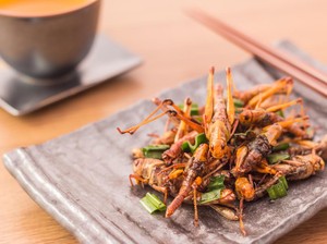Harga Mahal Jadi Dalih Bakul Walang Goreng Ganjal Toples Pakai Kardus