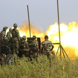 TNI Temukan Harta Karun Saat Cari Senjata Bekas, Begini Kronologinya