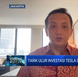 Sempat Batal, Deputi Luhut Ungkap Rencana Tesla Masuk RI