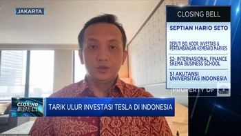 Sempat Batal, Deputi Luhut Ungkap Rencana Tesla Masuk RI