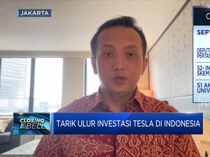 Sempat Batal, Deputi Luhut Ungkap Rencana Tesla Masuk RI