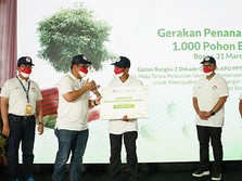 Mandiri Group & PPATK Tanam 1.000 Pohon di Kawasan Katulampa