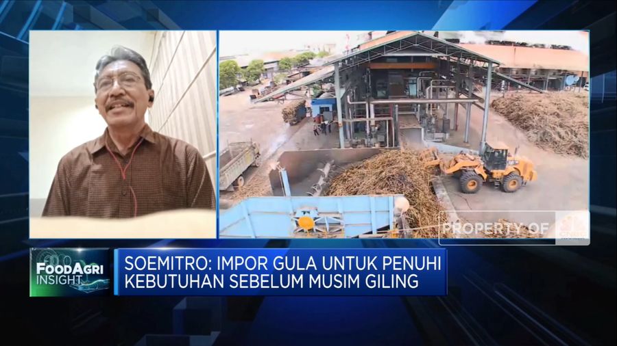 Petani Harap Impor Gula Tak Terjadi Saat Musim Giling, Ada Apa?  (վ TV)