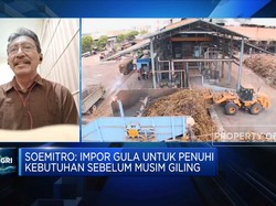 Petani Harap Impor Gula Tak Terjadi di Musim Giling, Ada Apa?