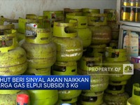 Luhut Beri Sinyal Akan Naikkan Harga Gas Elpiji Subsidi 3 Kg