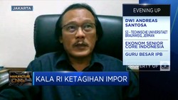 Doyan Impor, K/L & Pemda Kurang Berpihak ke Produsen Lokal?